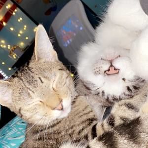 Meet your Posher, Gabriella